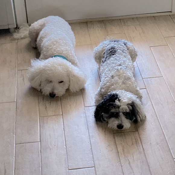 Meet your Posher - Picture 1 of 2